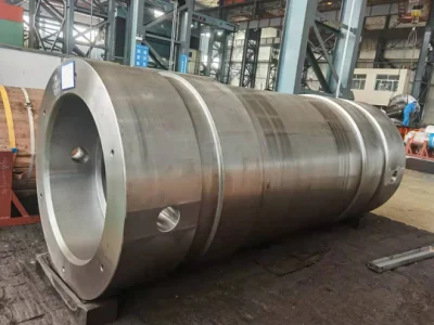 La Chine fabricant forgeant l'anneau de brides de tuyau d'acier inoxydable